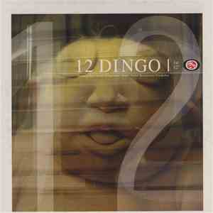 12 Dingo - 1st 12" download mp3 flac
