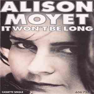 Alison Moyet - It Won't Be Long download mp3 flac