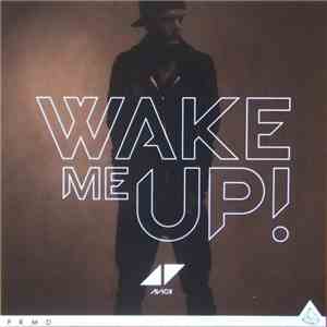 Avicii - Wake Me Up download mp3 flac