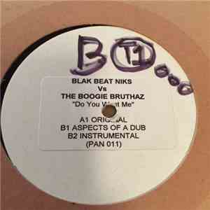 Blak Beat Niks Vs The Boogie Bruthaz - Do You Want Me download mp3 flac