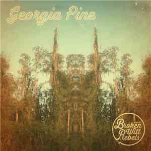 Broken Witt Rebels - Georgia Pine download mp3 flac