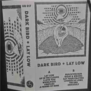 Dark Bird - Lay Low download mp3 flac