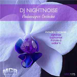 DJ Nightnoise - Phalaenopsis Orchidee download free