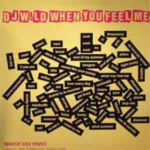 DJ Wild - When You Feel Me Part 1 download mp3 flac