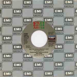 Dwight Twilley - Why You Wanna Break My Heart download mp3 flac