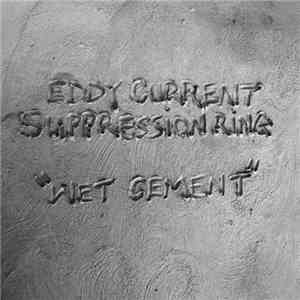 Eddy Current Suppression Ring - Wet Cement download free