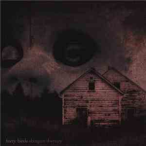 Forty Birds - Shotgun Therapy download mp3 flac
