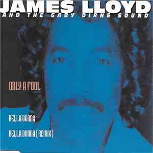 James Lloyd And The Gaby Dirne Sound - Only A Fool download mp3 flac