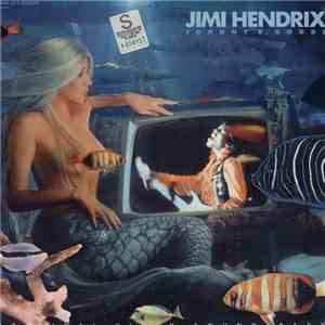 Jimi Hendrix - Johnny B. Goode An Original Video Soundtrack download mp3 flac