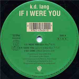 k.d. lang - If I Were You download mp3 flac
