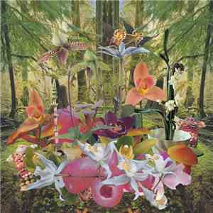 Monster Rally - Return To Paradise download mp3 flac