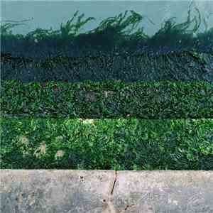 Oscar S - Chiasmus download mp3 flac