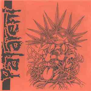 Patareni / Buka  - D.i.y.-r.y. download free