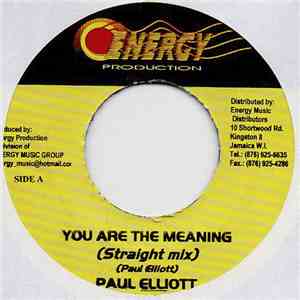 Paul Elliott - You Are The Meaning download mp3 flac