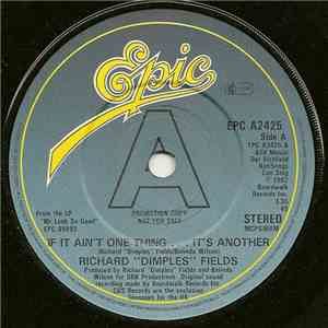 Richard "Dimples" Fields - If It Ain't One Thing...It's Another download mp3 flac