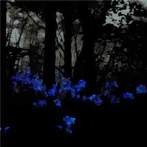 Saturnine's Garden - Twelve download mp3 flac