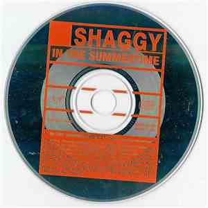 Shaggy - In The Summertime download mp3 flac