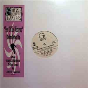 Siouxsie & The Banshees - Fear (Of The Unknown) (Techno-Vertigo Mix) download free