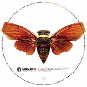 SkinjoB - Insects & Metaphors Demo download free SkinjoB - Insects & Metaphors Demo download mp3 flac