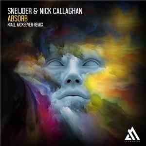 Sneijder & Nick Callaghan - Absorb (Niall McKeever Remix) download mp3 flac