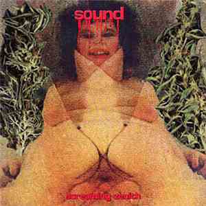 Sound - Screaming Zenith download free Sound - Screaming Zenith download mp3 flac