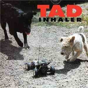 Tad - Inhaler download free