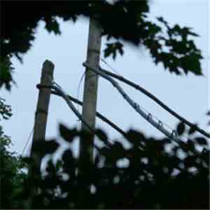 Terje Paulsen - 28.10.08 download mp3 flac