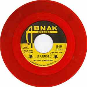 The Five Americans - If I Could download mp3 flac
