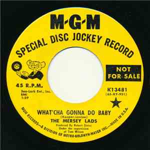 The Mersey Lads - What'cha Gonna Do Baby / Johnny No Love download mp3 flac