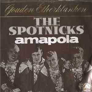 The Spotnicks - Amapola / Orange Blossom Special download mp3 flac