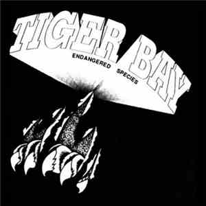 Tiger Bay  - Endangered Species download free
