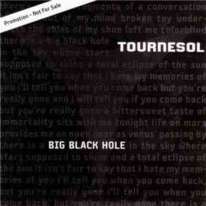 Tournesol  - Big Black Hole download mp3 flac