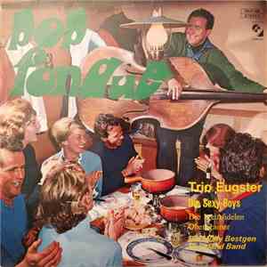 Trio Eugster, Die Sexy-Boys, Die Kreuzfidelen Oberkrainer, Die Willy Bestgen Dixieland Band - Pop Fondue download mp3 flac