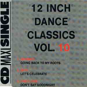 Various - 12 Inch Dance Classics Vol. 10 download mp3 flac