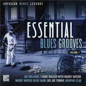 Various - Essential Blues Grooves, Volume 1 download free
