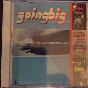 Various - Going Big - Fat Boarding Tracks From Ubiquity download mp3 flac
