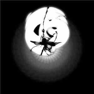 Washed Up Wings - The Fall download free