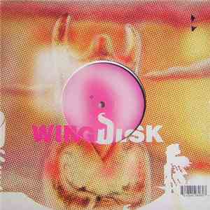 Wingdisk - Time Is Running Out Ep download mp3 flac